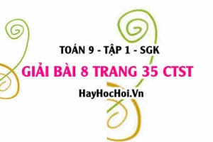 Bài 8 trang 35 Toán 9 tập 1 Chân trời sáng tạo
